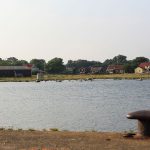 Blick vom Gästekai über einen kleinen See auf verstreut liegende, meist rot angemalte Häuser und ein paar Kühe am Wasser